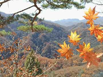 太湖汇景四期最新房价，投资与居住的优选之地